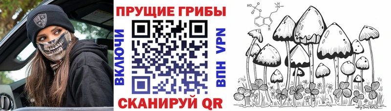ссылка на мегу как зайти где купить Чаплыгин Галлюциногенные грибы мицелий